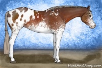 Horse Color:White Spotted Silver Brown Blanket