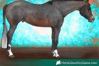 Horse Color:Brown Varnish 