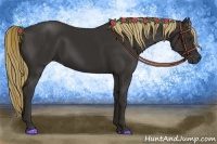 Horse Color:Liver Chestnut Rabicano