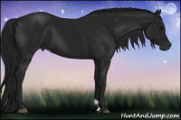 Horse Color:Gray Black 