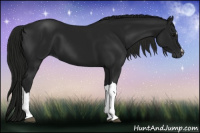 Horse Color:Gray Smoky Black 