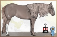 Horse Color:Platinum Chestnut 