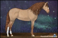Horse Color:Red Dun 