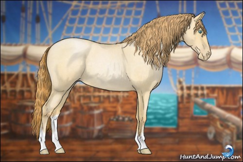 Horse Color:Buckskin Roan Pearl 