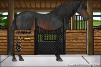 Horse Color:Brown Rabicano  and Brown Rabicano 