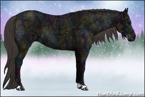Horse Color:Midnight Smoky Black Ice 