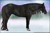 Horse Color:Midnight Smoky Black Ice 