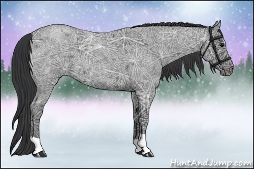 Horse Color:Blue Ice Roan 