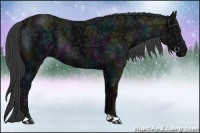 Horse Color:Midnight Black Ice 