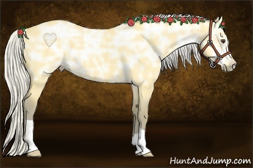 Horse Color:Silver Buckskin Ice Dun 