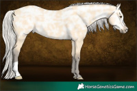 Horse Color:Silver Buckskin Ice Dun