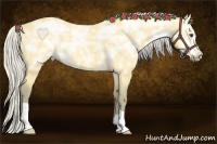 Horse Color:Silver Buckskin Ice Dun