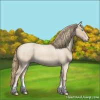 Horse Color:Smoky Creme Roan