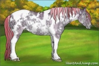 Horse Color:Painted Watercolor White Spotted Sable Champagne Ice Pearl Onyx Tobiano