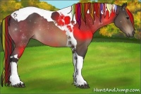 Horse Color:Painted Buckskin Tobiano