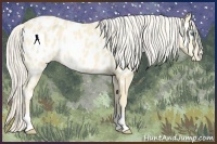 Horse Color:Cremello Appaloosa Rabicano