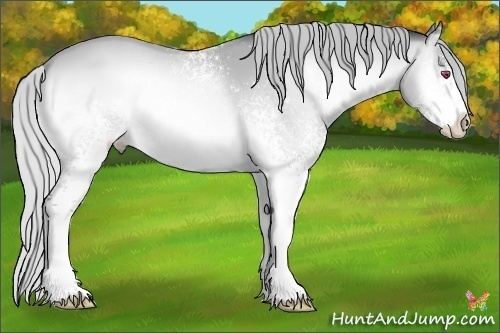 Horse Color:White Spotted Silver Brown Chinchilla Onyx 