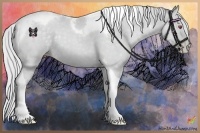 Horse Color:Silver Black Chinchilla Pearl Sabino Tobiano