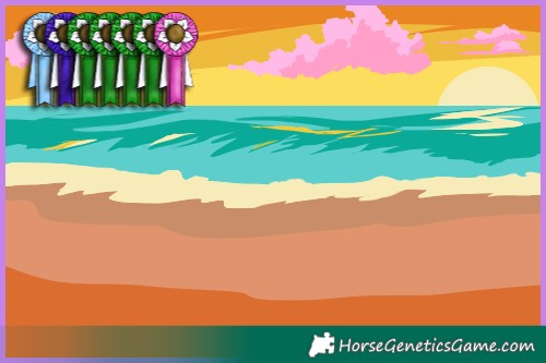 Horse Color:White Spotted Grullo Pearl 