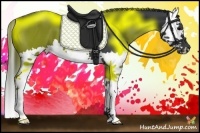 Horse Color:Black Splash