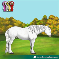 Horse Color:Silver Brown Dun Sabino 