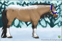 Horse Color:White Spotted Brown Dun