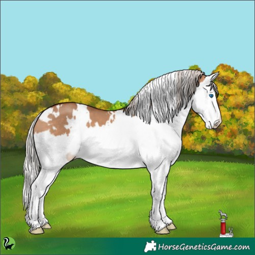 Horse Color:White Spotted Silver Brown Dun Splash 