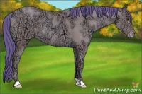 Horse Color:Watercolor Classic Champagne Ice 