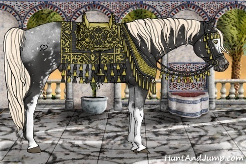 Horse Color:White Spotted Liver Chestnut Sabino Appaloosa 