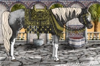 Horse Color:White Spotted Liver Chestnut Sabino Appaloosa 