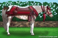 Horse Color:Brown Tobiano Appaloosa