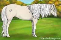 Horse Color:Silver Smoky Creme 