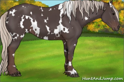 Horse Color:White Spotted Chocolate Silver Black