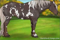 Horse Color:White Spotted Chocolate Silver Black