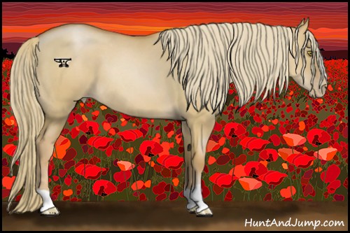 Horse Color:Red Dun Pearl 