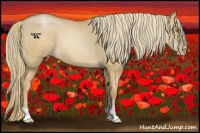 Horse Color:Red Dun Pearl