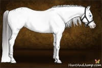 Horse Color:Liver Chestnut Frame 