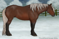 Horse Color:Gray Silver Bay 