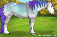 Horse Color:Watercolor Classic Champagne Onyx Sabino 