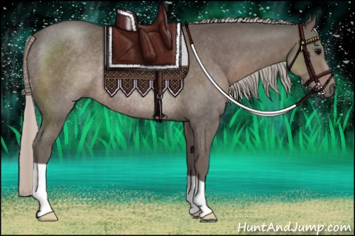 Horse Color:Silver Black Rabicano 