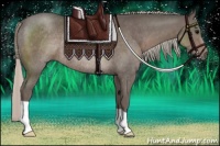 Horse Color:Silver Black Rabicano