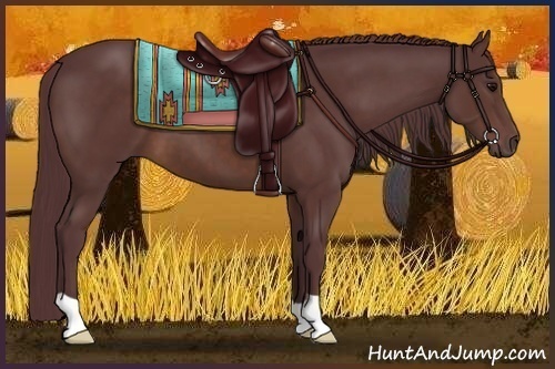Horse Color:Chocolate Brown 
