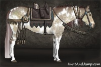 Horse Color:White Spotted Chocolate Buckskin Dun 