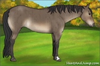 Horse Color:Brown Dun Brindle 