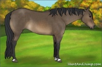 Horse Color:Brown Dun Brindle