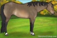 Horse Color:Brown Dun Brindle