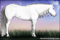 Horse Color:Liver Chestnut Frame