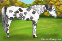 Horse Color:Liver Chestnut Frame 