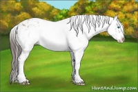 Horse Color:Classic Champagne Frame 