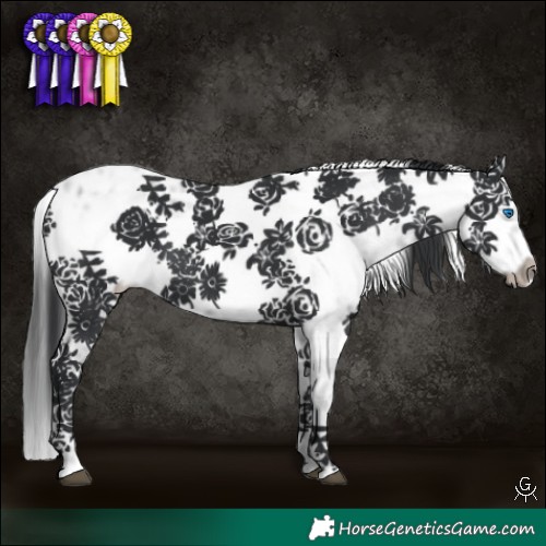 Horse Color:Black Frame 